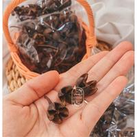 Gambar 50GR BIJI PUSPO HIASAN DEKORASI RUSTIC PINUS MAHAR BUKET BUNGA KERING DRIED FLOWERS PALEM KERAJINAN - Warna dari solofloristsupply undefined 2 Tokopedia