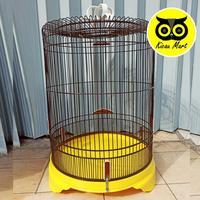 Gambar TEBOK MURAI PVC IMPORT TEBOK SANGKAR MURAI TEBOK KANDANG MURAI TBMR - Kuning dari Kicau Mart Official undefined 2 Tokopedia
