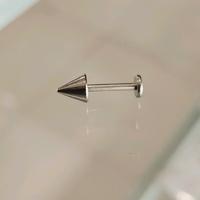 Gambar Tindik Piercing Telinga Titanium Ujung Runcing dan Bulat Silver Pelangi Cowok Anting - Runcing, Pelangi, 1pcs (1biji) dari RED CORNER DISTRO undefined 5 Tokopedia