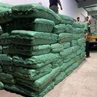 Gambar karung combi padi atau sak kombi untuk hasil panen ukuran 60cmx100cm warna hijau harga per 50pcs 25pcs dan 10pcs Jagung - hijau, 60cmx100cm, 50pcs dari IbraniStore_NEW undefined 4 Tokopedia