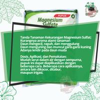 Gambar PUPUK MAGNESIUM SULFATE SULFAT PAK TANI 1KG GARAM INGGIS ASLI PABRIK dari Beri benih undefined 4 Tokopedia