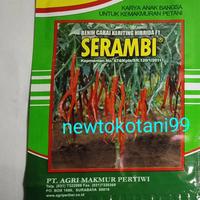 Gambar Benih cabai keriting hibrida SERAMBI F1 10 gram cabe kriting cmk serambi benih pertiwi cabai serambi - Spesifikasi dari Newtokotani99 undefined 1 Tokopedia
