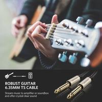 Gambar UGREEN Kabel Audio Splitter Dual Jack Aux 6.5mm Untuk Amplifier Stereo Mono Gitar Microphone Speaker - BLACK - 3 METER dari GADVENTIA undefined 4 Tokopedia