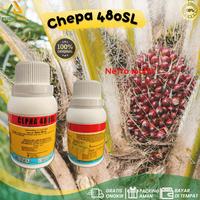 Gambar ZPT Pematang Buah CEPHA 480 SL 100 Ml Etefon 480 Gl dari PUROTANI.ID undefined 1 Tokopedia