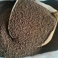 Gambar PELET IKAN SAFIR 2MM PROTEIN TINGGI TERMURAH - 1000gram dari TOKO SAHABAT JAYA 1 undefined 4 Tokopedia