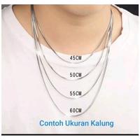 Gambar Kalung Perak Pria Wanita Silver Asli 925 Lapis Emas Putih Model Tambang 50 Dan 60 Cm - Kalung Pria Wanita Anti Karat - 50cm dari Ceria Jewelry undefined 4 Tokopedia