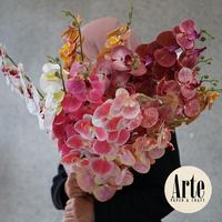 Gambar ARTE 1pcs Real Touch Orchid Premium Latex Tebal Artificial Bunga Anggrek Palsu Autumn 110cm untuk pajangan dekorasi Wedding Sangjit Seserahan Lamaran Ulang Tahun Rumah Kantor Aesthetic F.POC105 - 13 Spot Sun dari Roemah Arte undefined 1 Tokopedia