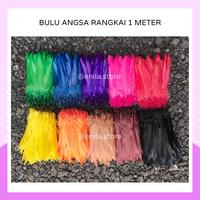 Gambar BULU ANGSA BEBEK ENTOG AYAM WARNA RANGKAI HALUS PANJANG 1 METER - AKSESORIS HIASAN KEPALA KARNAVAL DRUMBAND BAHAN MAINAN KUCING BISA COD BAYAR DITEMPAT Dipasang di Dinding - hijau, 1 meter dari enila.store undefined 1 Tokopedia