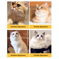 Gambar OBAT ANTIVIRUS PANLEU, CALICI, DISTEMPER, FIP OBAT VIRUS KUCING CALICI PANLEUKOPENIA DISTEMPER FIP PALING AMPUH ANTIVIRUS CAT | KAPSUL AJAIB MONMONOKO - Kitten 7 Kapsul dari Maharani Pet Savior undefined 2 Tokopedia