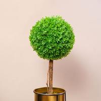 Gambar INFORMA POT TANAMAN DENGAN STAND 29.5X91 CM - GOLD dari Informa Indonesia undefined 4 Tokopedia