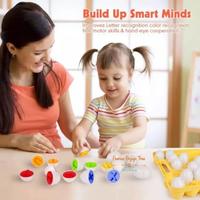 Gambar Matching Eggs 12 pcs Mainan Telor Mainan Edukasi Mainan Montessori ( YE9 ) dari GENERASI BERJAYA TERUS undefined 4 Tokopedia