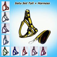 Gambar Harness Kucing Musang Kelinci Reptil Satu Set Tali dan Harnes Untuk Jalan - MERAH dari KurniaPet ACC undefined 1 Tokopedia