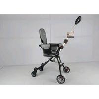 Gambar Chair Stroller Family Traveller FS-TRV, Kereta Dorong Bayi, Baby Stroller, Silver dari Anekadoo undefined 2 Tokopedia
