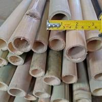 Gambar Promo tongkat Pramuka bambu 160cm polos siap kirim masih hijau Camping dari Has pangandaran undefined 5 Tokopedia