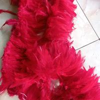 Gambar bulu ayam warna . aksesoris bulu ayam panjang 1 meter + digunakan untuk membuat aksesoris atau kerajinan sekolah kerajinan mahkota tari tradisional.. bulu tidak bau pewarna an pekat - merah dari ajix sulak undefined 5 Tokopedia