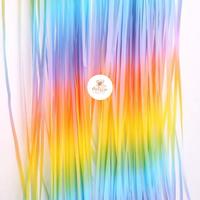 Gambar TIRAI RUMBAI MACARON  / TIRAI RUMBAI PESTA / TIRAI RUMBAI FOIL MACARON / TIRAI MACARON / BACKDROP FOIL MACARON / CURTAIN SLINGER / FOIL FRINGE CURTAIN /  BACKGROUND DINDING ULANG TAHUN - GRADIASI, 1x2meter dari PartyLux undefined 2 Tokopedia