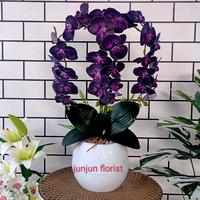 Gambar bunga anggrek latex artificial 3 cabang pot mocci dari junjun florist undefined 3 Tokopedia