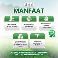 Gambar 1KG MFF VANILLA VANILI VANILA MANIS ORIGINAL dari Vla Market undefined 3 Tokopedia