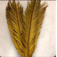 Gambar Daun sikas palem mawar jambe kering ( Tinggi 58 - 90 cm) - 50-70 cm, Natural dari 3R VARIETY STORE undefined 1 Tokopedia