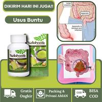 Gambar Keloreena Untuk usus buntu Bengkak radang infeksi kanker usus Kram Perut Melilit - Isi 50 Kapsul dari Herbalthy Store undefined 1 Tokopedia