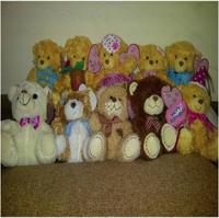 Gambar Boneka Rekam Suara Recorded Toys Dolls Hello Kity Stitch Miki Minnie Reseller Dropship Grosir Ecer Murah Barang Unik China dari Paffie Shop Grosir Kota Surabaya 3 Tokopedia