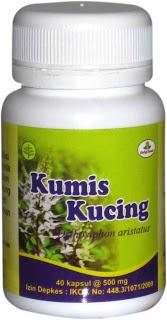 Gambar KUMIS KUCING dari Obat Herbal Termurah undefined 1 Tokopedia