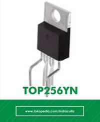 Gambar TOP256YN dari IndraCulla Store undefined 2 Tokopedia
