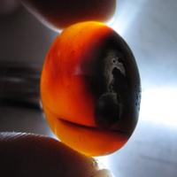 Gambar (AGC376) BATU NATURAL AKIK GAMBAR BINATANG ANEH 26.75 CT dari Gems choice undefined 2 Tokopedia