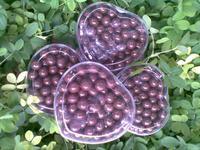 Gambar grosir coklat kiloan / choco balls warna dari CoklatBandung undefined 3 Tokopedia