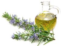 Gambar Pure Essential Oil - Rosemary Oil (25ml) dari Ionshop undefined 1 Tokopedia