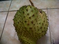 Gambar BUAH SIRSAK dari tokobmg undefined 2 Tokopedia
