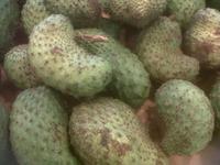 Gambar BUAH SIRSAK dari tokobmg undefined 4 Tokopedia