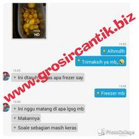 Gambar kurma muda dari tokomurahjember undefined 2 Tokopedia