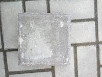 Gambar PAVING BLOCK / CONBLOCK KOTAK UBIN 20 X 20 WARNA ABU-ABU 6cm dari UD PUSAKA undefined 1 Tokopedia