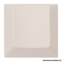 Gambar Tai-Hao Vintage White 1u Blank Add-On Cubic ABS Keycap (R1) dari Mechanical Keyboards undefined 1 Tokopedia