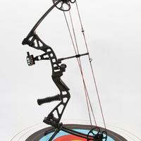 Gambar SANLIDA HANWU3 Hunting Compound Bow Set - Busur Panah compound Hunting dari BALANCA Official Store undefined 4 Tokopedia