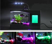 Gambar Mini Aquarium Nano USB Akuarium Dekstop Meja - 3 Sekat Ungu dari Jakarta Hobby undefined 3 Tokopedia