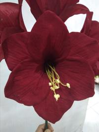 Gambar Bunga Amarilis Merah - Bunga Artificial dari All Nice Flower and Decoration undefined 3 Tokopedia