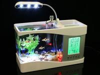 Gambar Mini Aquarium Nano USB Akuarium Dekstop Meja - 3 Sekat Ungu dari Jakarta Hobby undefined 5 Tokopedia