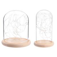 Gambar Clear Glass Display Dome Cloche Bell Jar Wooden Base DIY Decorations dari JMS Surabaya undefined 5 Tokopedia