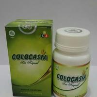 Gambar COLOCASIA Tea Capsul Penambah Cairan Sendi Lutut Original Lejel Herbal dari Reseler Exitox Jakarta undefined 5 Tokopedia