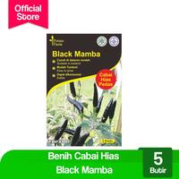 Gambar Benih Cabai Hias Black Mambaa (potme Farm) dari Potme Farm undefined 1 Tokopedia