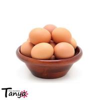 Gambar Dekorasi Foto Telur Palsu Artificial Raw Egg High Quality - Bebek dari Tanya HomeDecoration undefined 1 Tokopedia