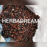 Gambar TERBAIK BIJI KECIPIR CIPIR JAAT KACANG BOTOR BOTOL SI LENG DOU dari kea_rempah undefined 2 Tokopedia
