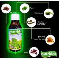 Gambar Vitamin Anak Penambah Nafsu Makan NUTRIDAT RASA ORIGINAL (MADU) dari Fathona Online undefined 2 Tokopedia