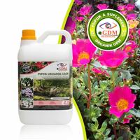 Gambar Pupuk Bunga Krokot Organik GDM 2L dari GDM Organic_NEW undefined 1 Tokopedia