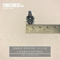 Gambar Sekrup Roofing SDS 12x20 (u/ C) (100buah) dari Teguh tokobesi undefined 1 Tokopedia