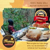 Gambar 100% Madu Batu Cadas Hutan Sumatera Asli Honey Syaima 1KG Madu Cadas dari Toko Al Barka undefined 2 Tokopedia