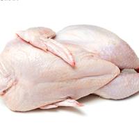 Gambar Ayam Karkas Broiler Ayam Potong Utuh 0.9-1 Kg dari fresh jaktim undefined 1 Tokopedia