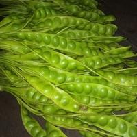 Gambar Petai/Pete Sayur Segar - Harga Per 1 Papan dari TRIWAHYUNI INDONESIA undefined 1 Tokopedia